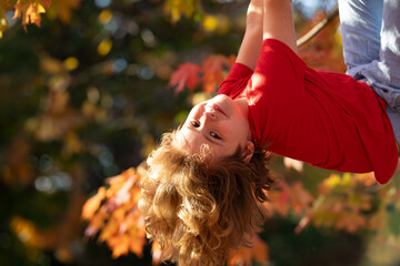 Funny kid climbing a autumn tree in the garden. Active child climbing tree in autumn park outdoors....
