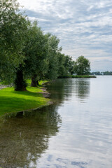 Fototapeta premium reflection of trees in water after a flooding of the lake