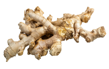 Close-up of fresh ginger root isolated on a white background, highlighting its unique texture and natural appearance for culinary and medicinal use.