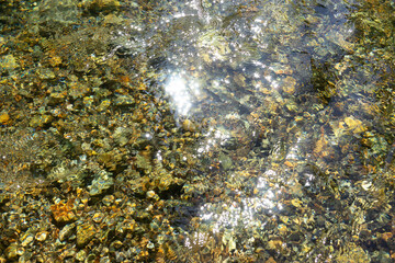 綺麗な渓流の流れ