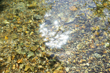 綺麗な渓流の流れ