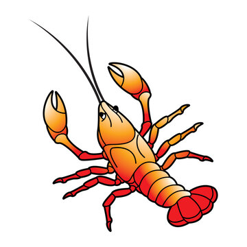 crowfish icon isolated on white