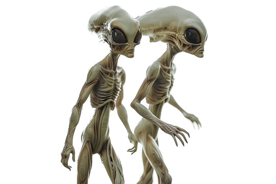 Cosmic Couple in Love Isolated on Transparent Background