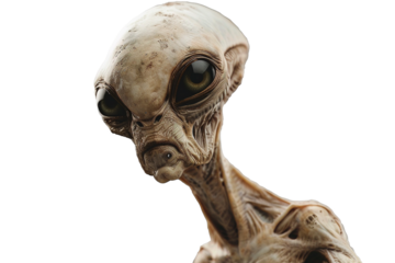 Synthetic Lifeform Isolated on Transparent Background