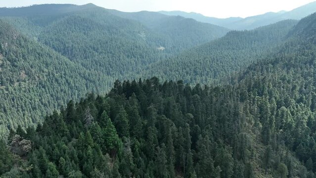 National park Los Dinamos in Mexico City, clip 3 of 4.