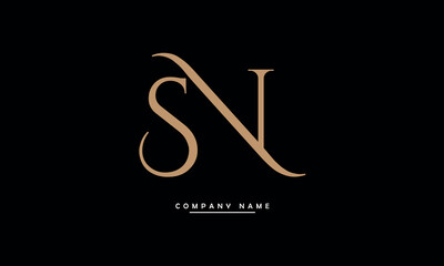 SN, NS, S, N Abstract Letters Logo Monogram