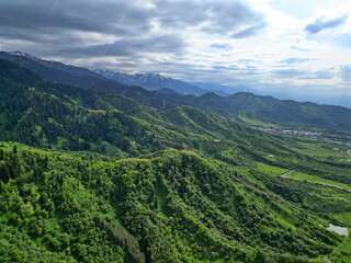 Fototapeta premium A mountainous area with different green vegetation. The view from the drone.