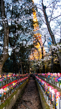 Tokyo, Japan APRIL 2024: Mizuko, Senjo-chori Jizosonson of Zojoji Temple (Minato-ku, Tokyo). Mizuko is the term used in Japan to refer to the souls of children who died before birth or shortly after.