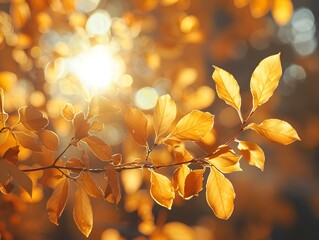 Warm Autumn Glow Shimmering Through Golden Foliage In Serene Forest Landscape