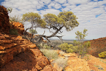 Kings Canyon im Northern Territory - Australien © rorue