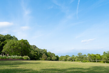 さわやかな青空と芝生の公園