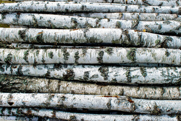 A background of birch logs lying horizontally. Chopped firewood stacked in a pile. Pile of logs for fireplace