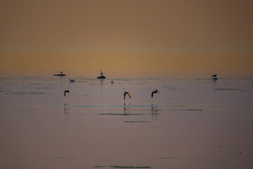 Beautiful sunset over rocky shore of sea