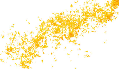 Yellow Marigold petals falling romantic white background isolated with yellow marigold flower petals flying. Religious floral spring season, ritual invitation yellow marigold petals in mid air