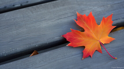Autumn’s Palette. A single red-orange maple leaf rests on a weathered wooden surface, symbolizing the change of seasons.