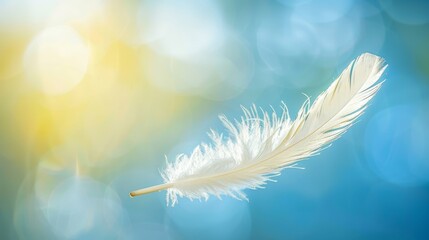  A tight shot of a white feather against a blue and yellow blurred backdrop The feather is illuminated by a bokeh of light originating from above