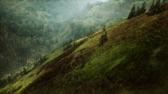 A vibrant and picturesque landscape featuring a lush green hillside covered in numerous trees, including juniper, found in alpine meadows.