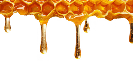 Close-up of golden honey dripping from honeycomb.  Sweet, natural, and delicious.