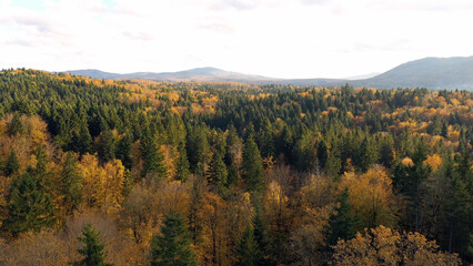  Beautiful aerial shot of sunny autumn season woods landscape.