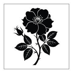 Illustration of a flower