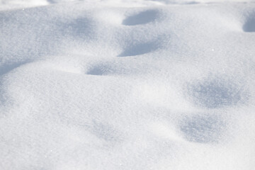 background of white snow under the sun