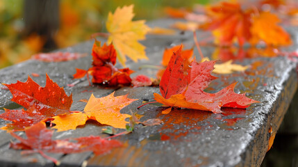 Autumn Hues. vibrant red and orange maple leaves scattered on a wet, dark wooden surface, showcasing the natural beauty of fall.
