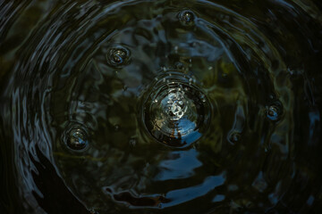 Close-up of a water droplet creating ripples in dark water. The splash and concentric circles are...