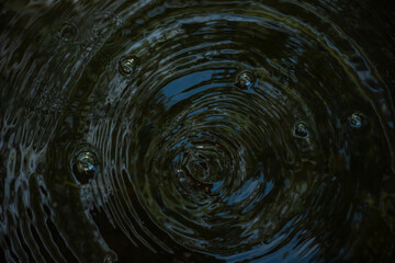 Close-up of a water droplet creating ripples in dark water. The splash and concentric circles are captured in detail, highlighting the fluid dynamics and motion.