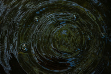 Close-up of a water droplet creating ripples in dark water. The splash and concentric circles are...