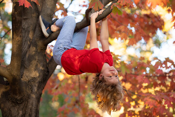 Funny child climbing a autumn tree in the garden. Active kid playing in autumn park outdoors....