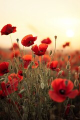 Fototapeta premium flower background