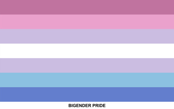 Flag of BIGENDER PRIDE, BIGENDER PRIDE flag