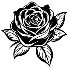 rose-flower-vector-illustration