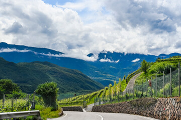 Naklejka premium Kaltern, Caldaro, Tramin, Weinstrasse, Kalterer See, See, Lago di Caldaro, Weinberge, Weinbauer, Wanderweg, Spazierweg, Südtirol, Etschtal, Etsch, Überetsch, Frühling, Sommer, Italien