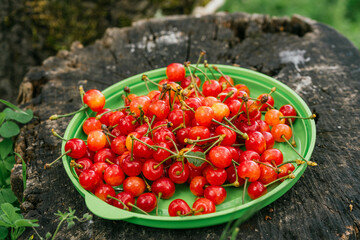 tasty red cherries summer waits eat it