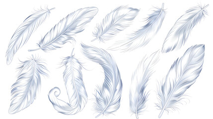 illustration with light beautiful feathers on white background, 3d rending, white feathers isolated on white abstract background, beautiful soft shiny white bird feathers 
