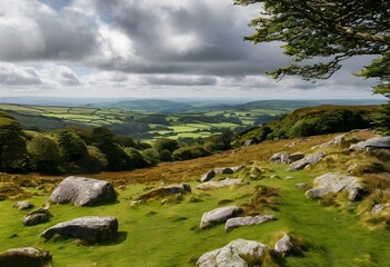 Obraz premium A view of Dartmoor National Park in Devon