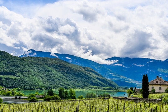 Kaltern, Caldaro, Tramin, Weinstrasse, Kalterer See, See, Lago di Caldaro, Weinberge, Weinbauer, Wanderweg, Spazierweg, S&uuml;dtirol, Etschtal, Etsch, &Uuml;beretsch, Fr&uuml;hling, Sommer, Italien