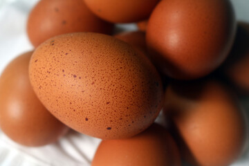 Fresh raw chicken eggs are placed in rows. Cover with tissue and water. in cardboard containers. Chicken eggs are healthy for the body. high nutritional value