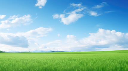 Obraz premium Vast Green Field Under Blue Sky