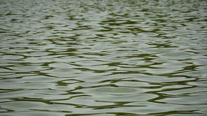 The rippled water surface reflects light