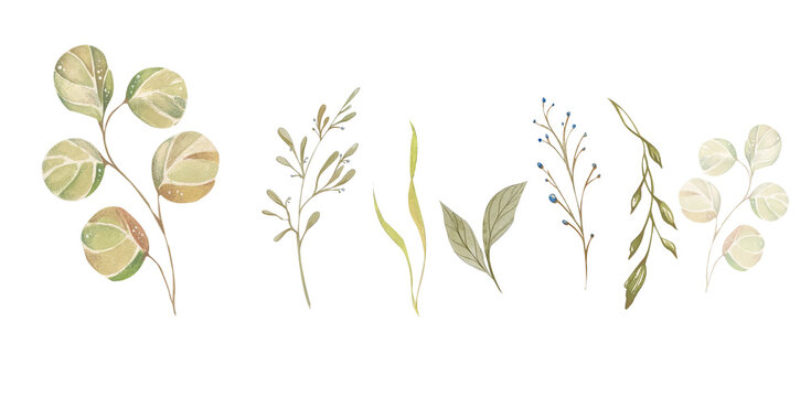 Set of Abstract Watercolor Twigs, Leaves, Herbs. In Beige Green Blue Pastel Colors. Children's Clothing Design Element , Cards, Posters, Flyers, Cosmetics Packaging, Textiles