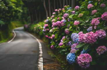 Hydrangea flowers