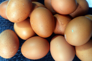 Fresh raw chicken eggs are placed in rows. Cover with tissue and water. in cardboard containers. Chicken eggs are healthy for the body. high nutritional value
