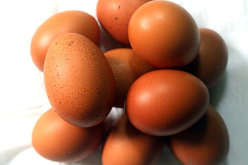 Fresh raw chicken eggs are placed in rows. Cover with tissue and water. in cardboard containers. Chicken eggs are healthy for the body. high nutritional value