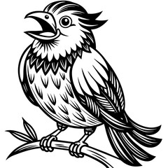 a-bird-is-sitting-on-branch-illustration-and-laugh