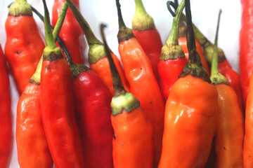 chilli. extra hot red chili. Red hot chili pepper isolated on white background. cooking flavoring. Chili cutting path.