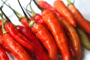 chilli. extra hot red chili. Red hot chili pepper isolated on white background. cooking flavoring. Chili cutting path.