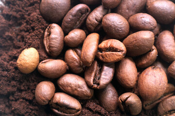 coffee beans. powder. cream. on a white background. the aroma of Sumatran coffee. arabica coffee. civet coffee. expensive and luxurious. drink lover
