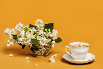 Jasmine tea with fresh flowers isolated on orange background